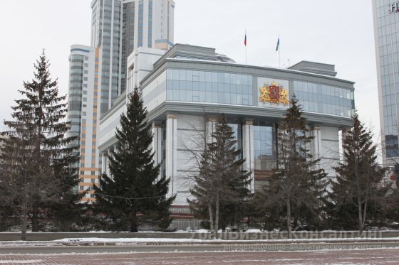 Заксобрание Свердловской области поддержало частичный запрет продажи энергетиков