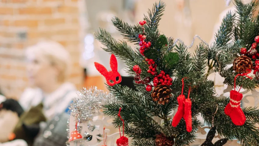 Фото предоставлено пресс-службой СОФПП