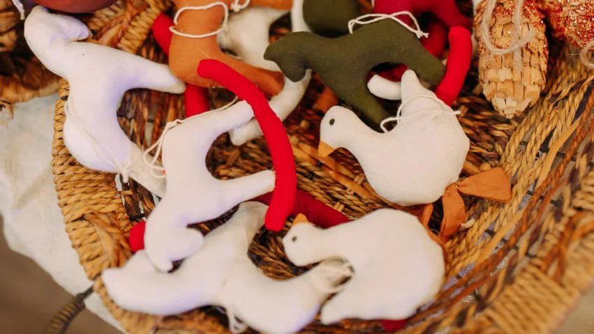 Фото предоставлено пресс-службой СОФПП