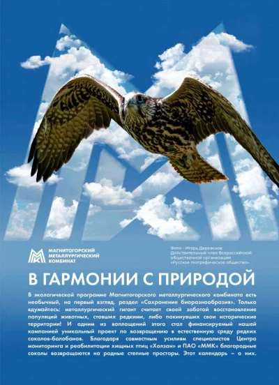 Фото предоставлено пресс-службой ПАО «ММК»