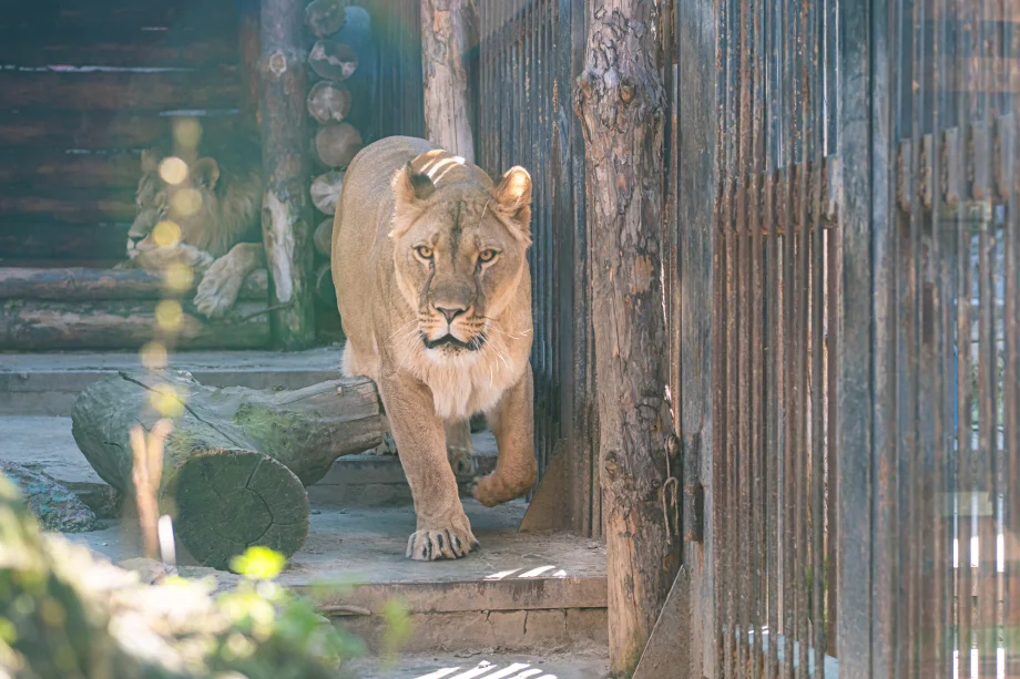 Фото: пресс-служба УБРиРа