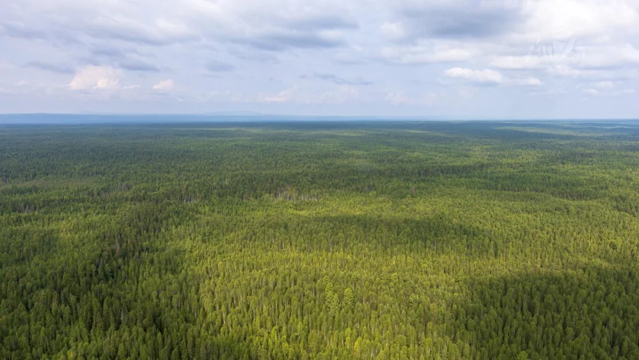 Фото предоставлено департаментом информационной политики Свердловской области