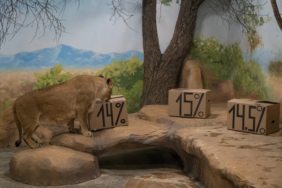 Фото: пресс-служба УБРиРа