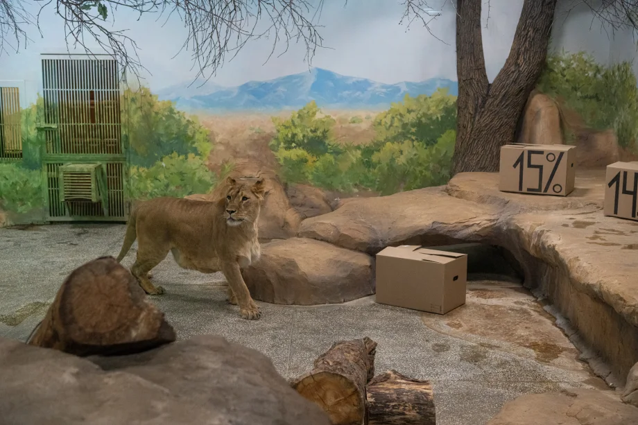 Фото: пресс-служба УБРиРа