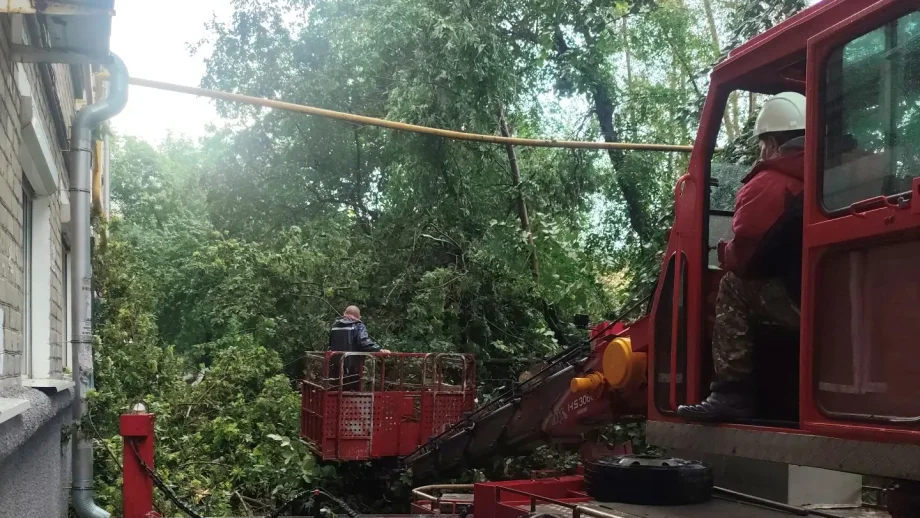 Фото предоставлено пресс-службой УК «Фонд Радомир»